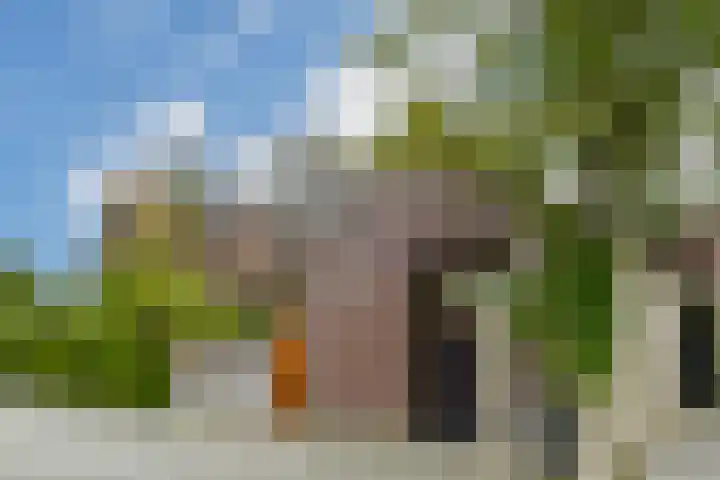 Floralaan West 193 Eindhoven thumbnail 49