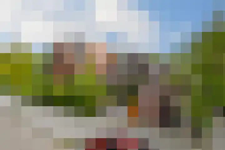 Floralaan West 193 Eindhoven thumbnail 51