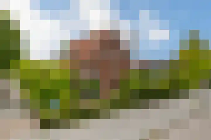 Floralaan West 193 Eindhoven thumbnail 52