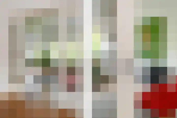 Floralaan West 193 Eindhoven thumbnail 6