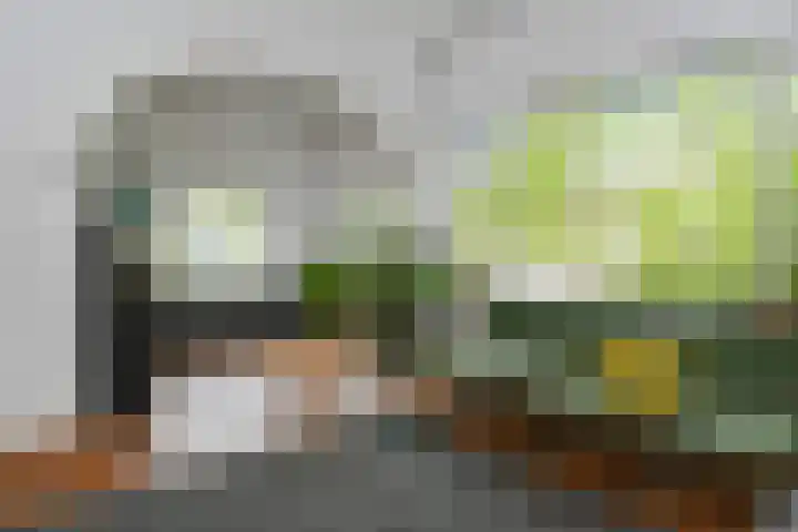 Floralaan West 193 Eindhoven thumbnail 7