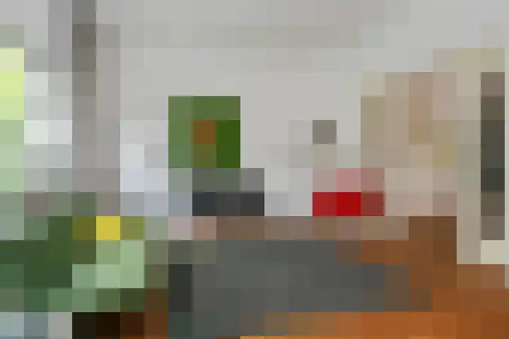 Floralaan West 193 Eindhoven thumbnail 9