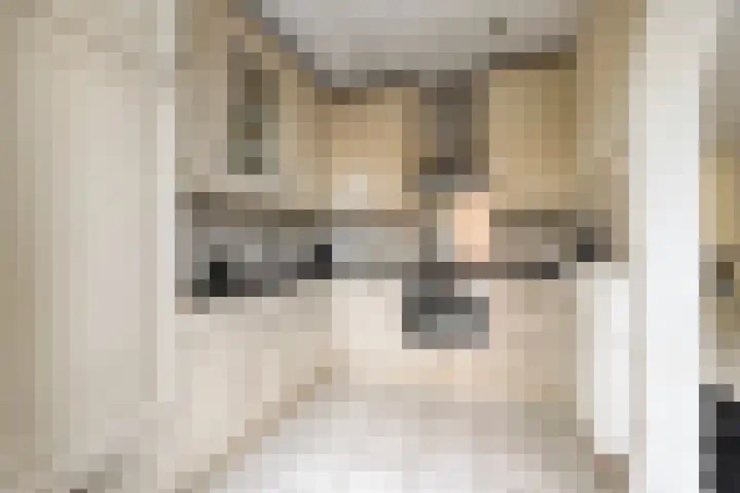 Floralaan West 238 Eindhoven thumbnail 14