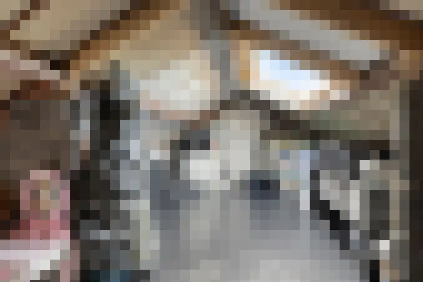 Floralaan West 238 Eindhoven thumbnail 22