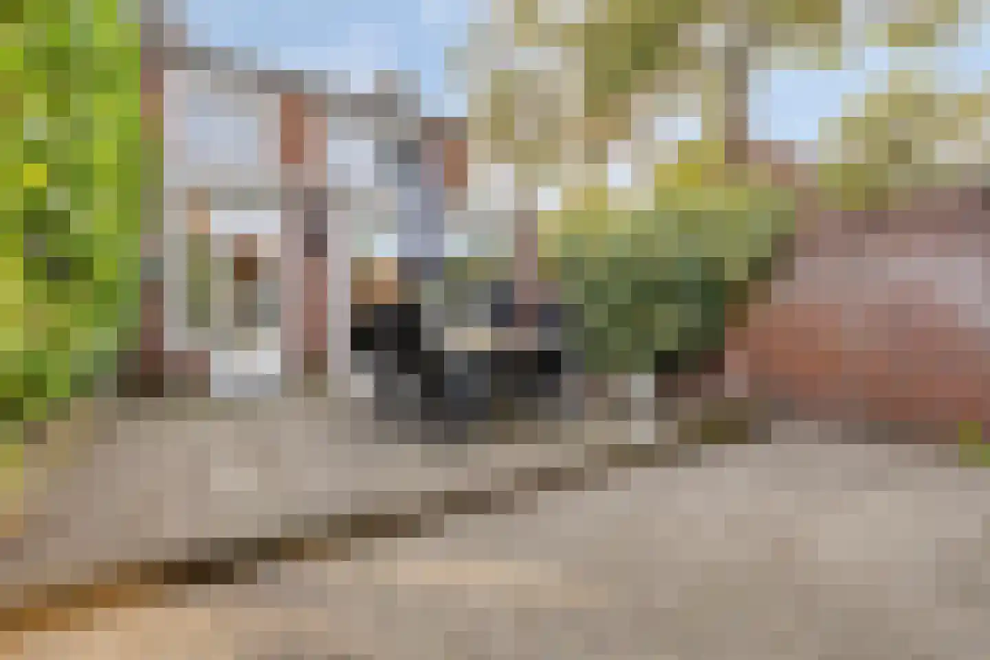 Floralaan West 238 Eindhoven thumbnail 25