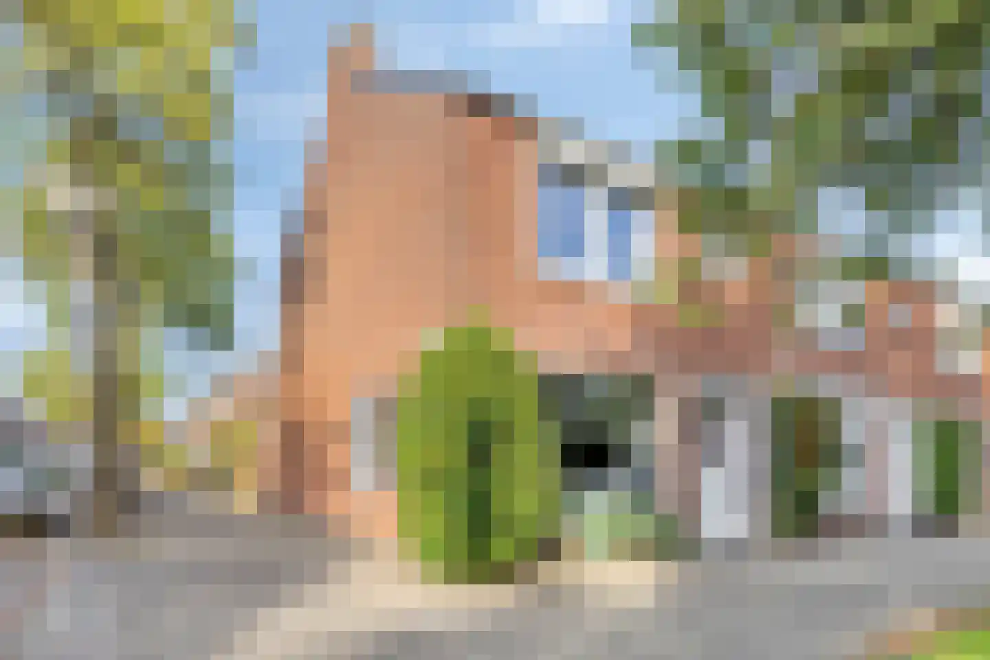 Floralaan West 238 Eindhoven thumbnail 30