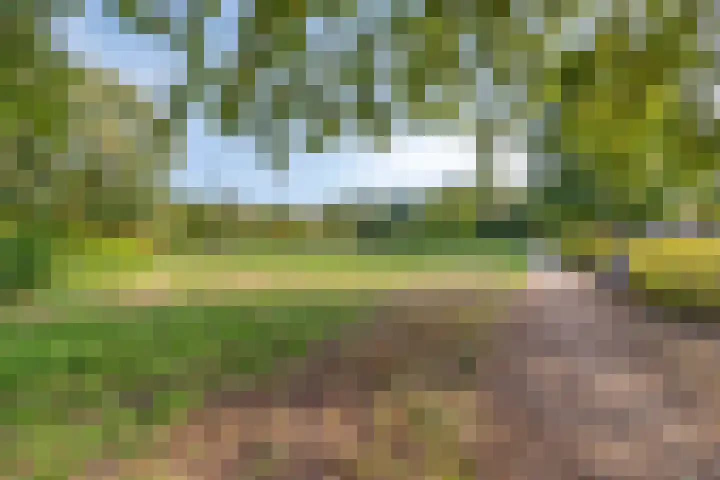 Floralaan West 238 Eindhoven thumbnail 32