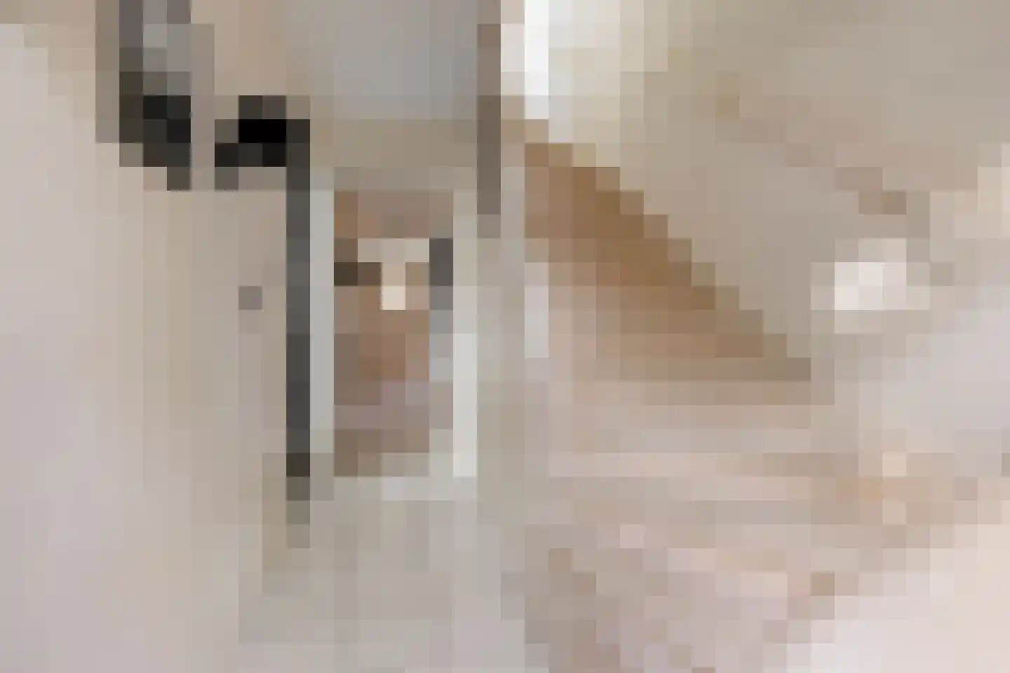 Floralaan West 238 Eindhoven thumbnail 4