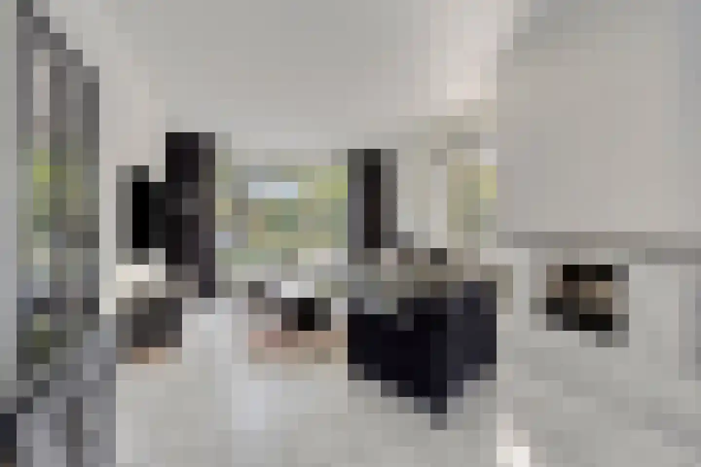 Floralaan West 238 Eindhoven thumbnail 6