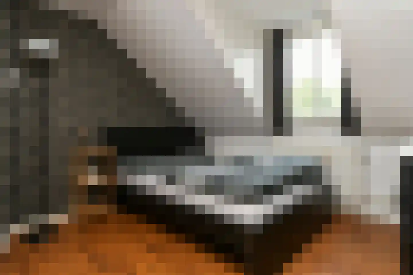 Floralaan West 278 A Eindhoven thumbnail 40