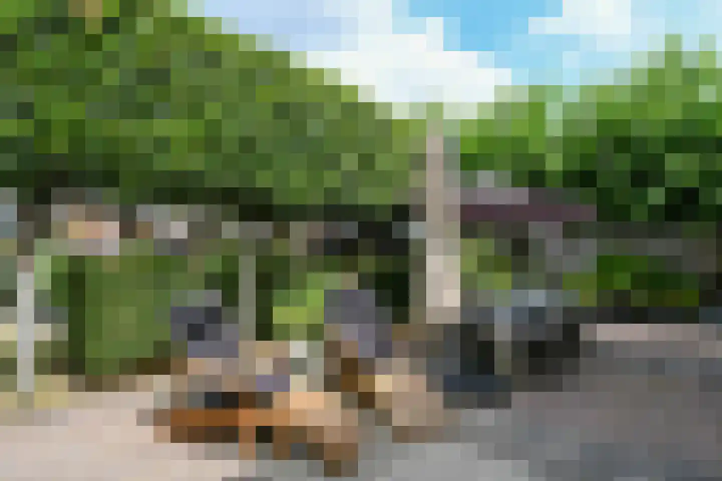 Floralaan West 278 A Eindhoven thumbnail 43