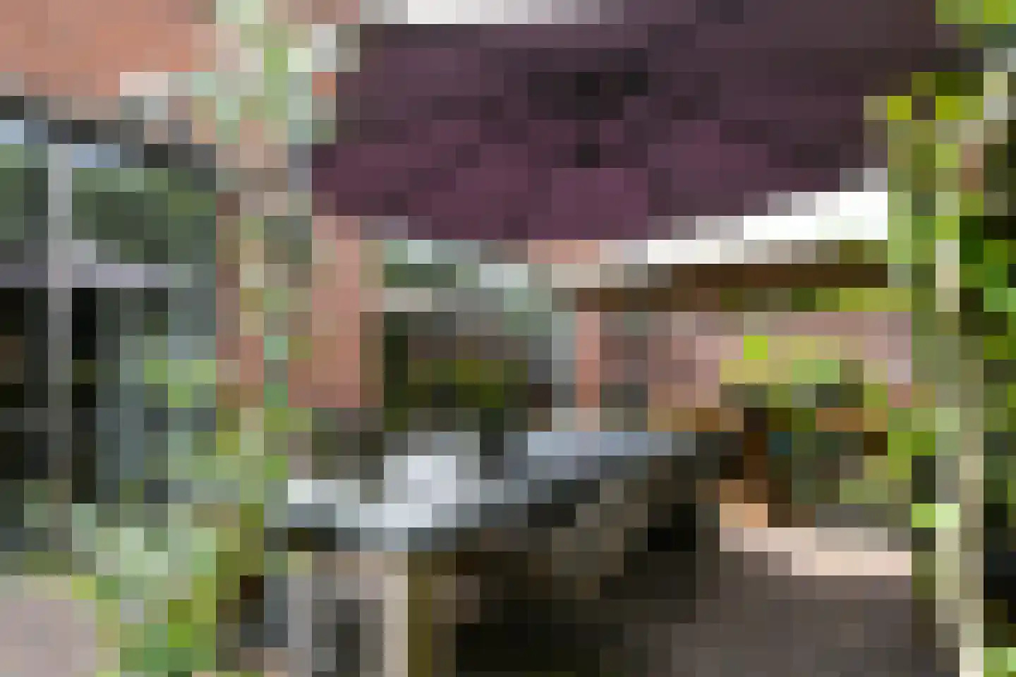 Floralaan West 278 A Eindhoven thumbnail 48