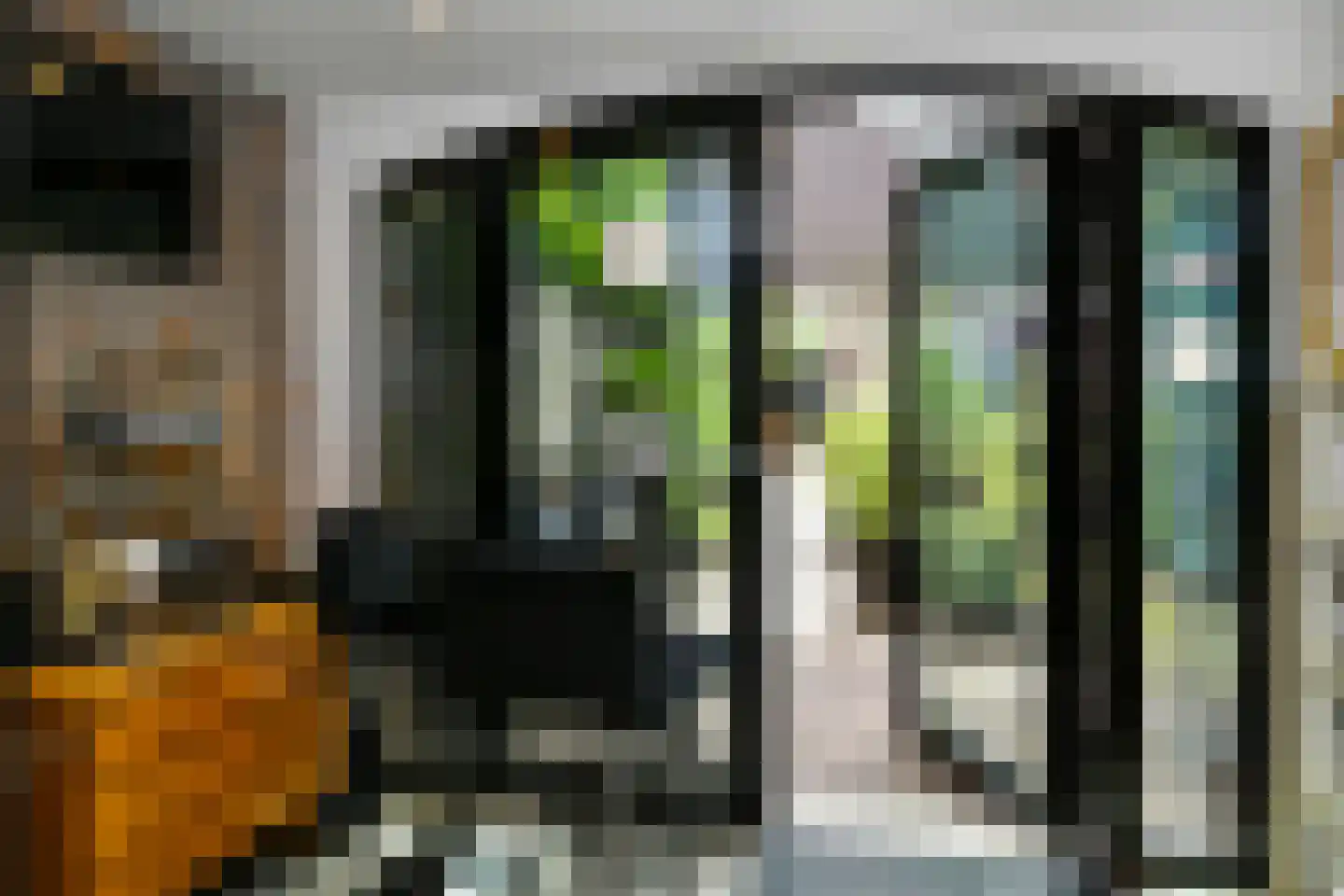 Floralaan West 278 A Eindhoven thumbnail 55