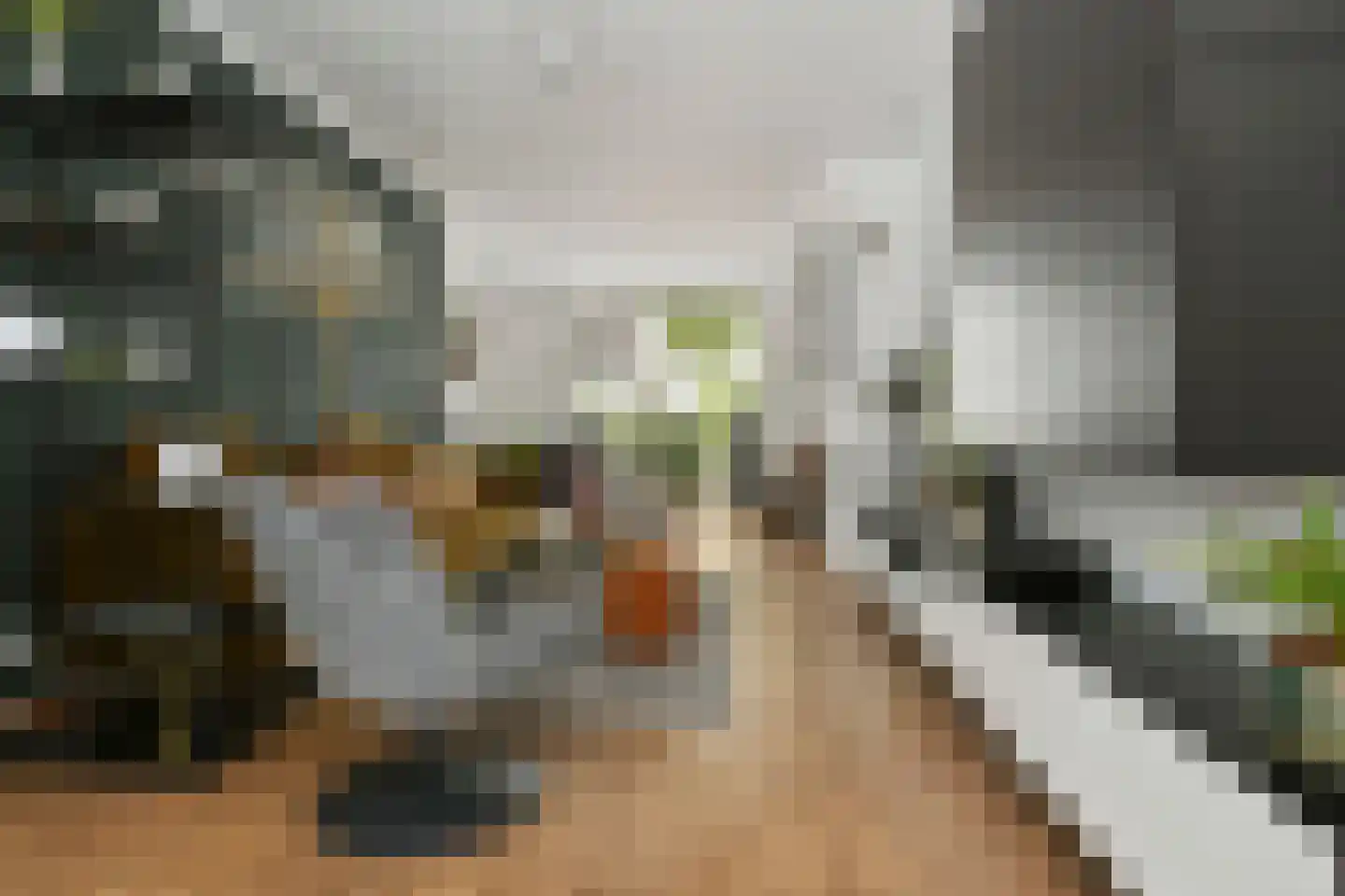 Floralaan West 278 A Eindhoven thumbnail 6