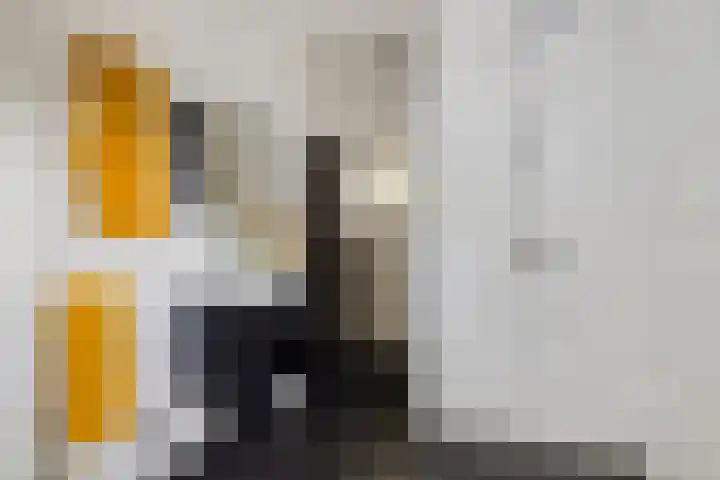 Floralialaan 24 B Bussum thumbnail 13