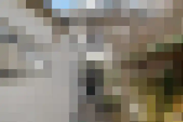 Floralialaan 24 B Bussum thumbnail 25