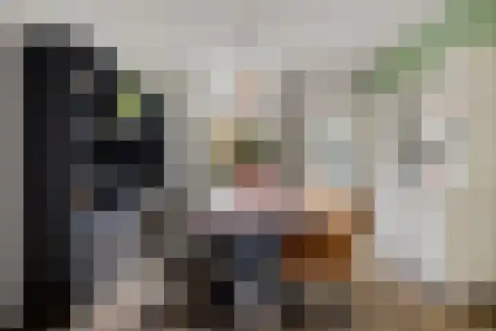 Floralialaan 24 B Bussum thumbnail 6