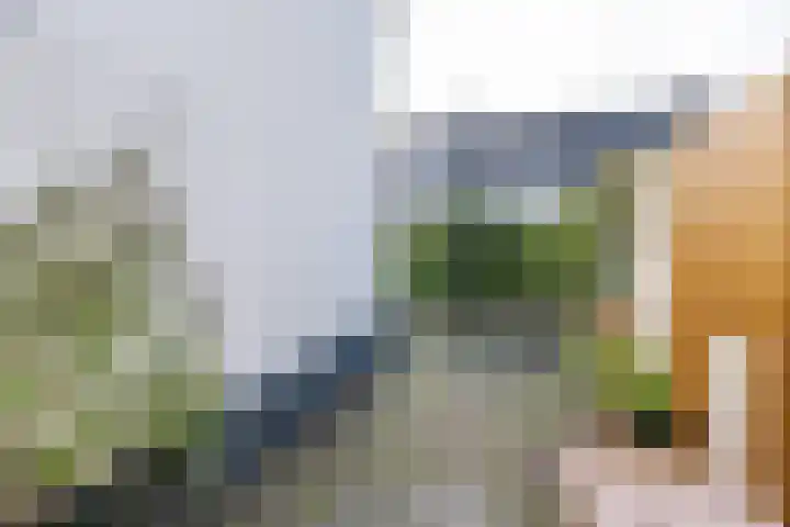 Floralialaan 53 Bussum thumbnail 26