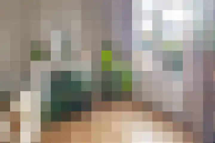 Floralialaan 53 Bussum thumbnail 4