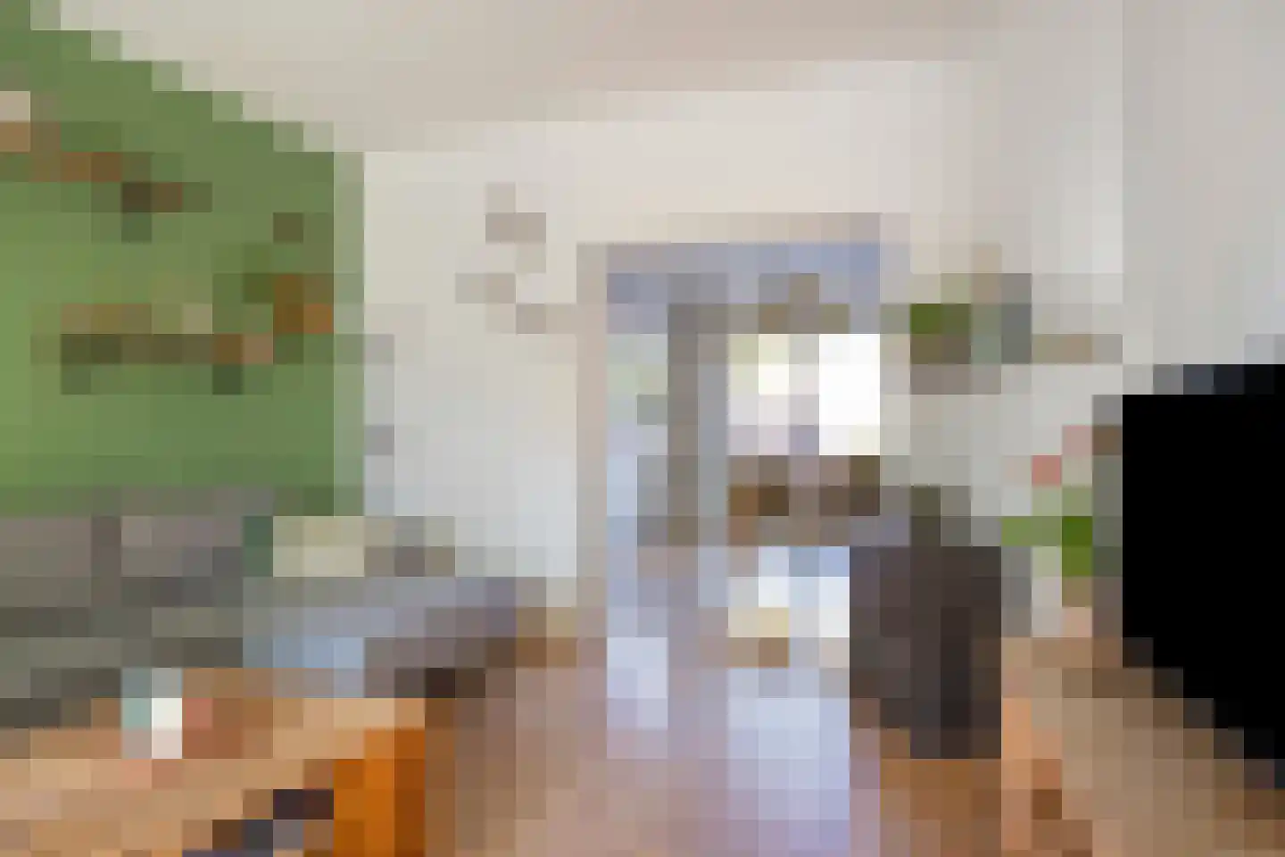 Floraliastraat 1 Oss thumbnail 11