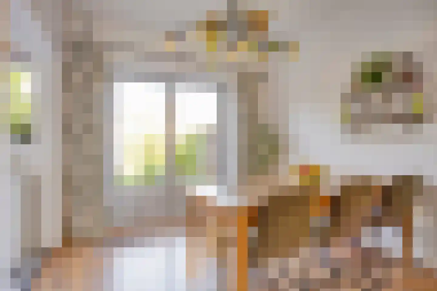 Floraliastraat 1 Oss thumbnail 13