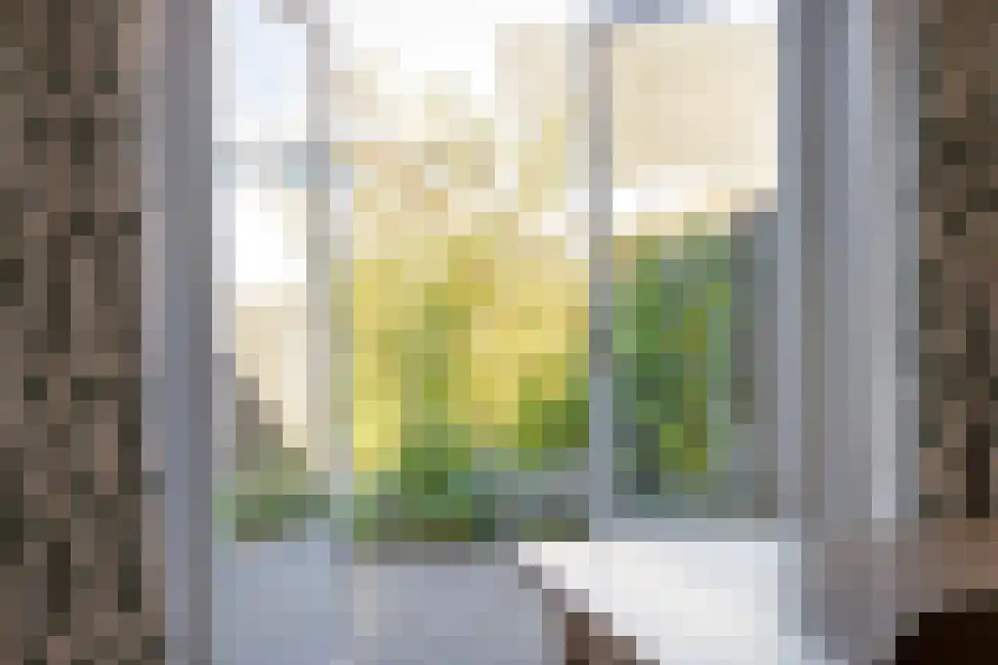 Floraliastraat 1 Oss thumbnail 14