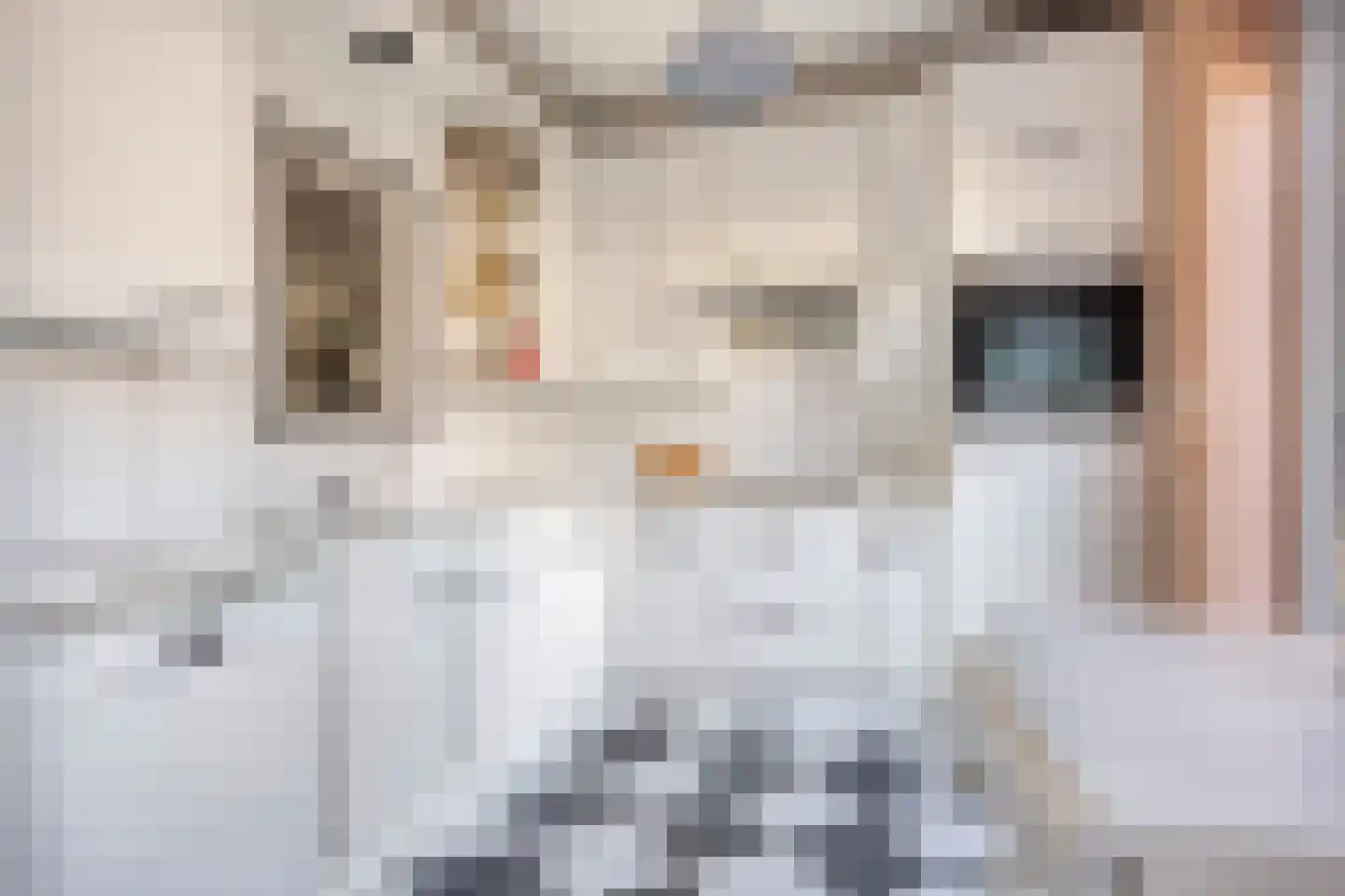 Floraliastraat 1 Oss thumbnail 17
