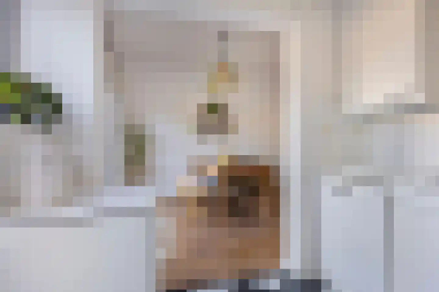 Floraliastraat 1 Oss thumbnail 18