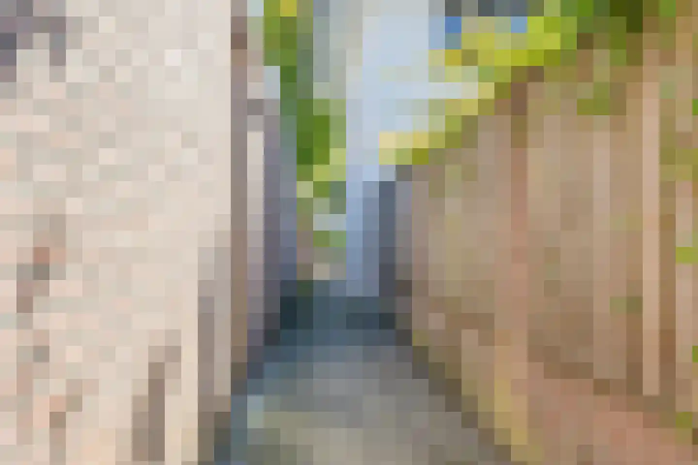 Floraliastraat 1 Oss thumbnail 22