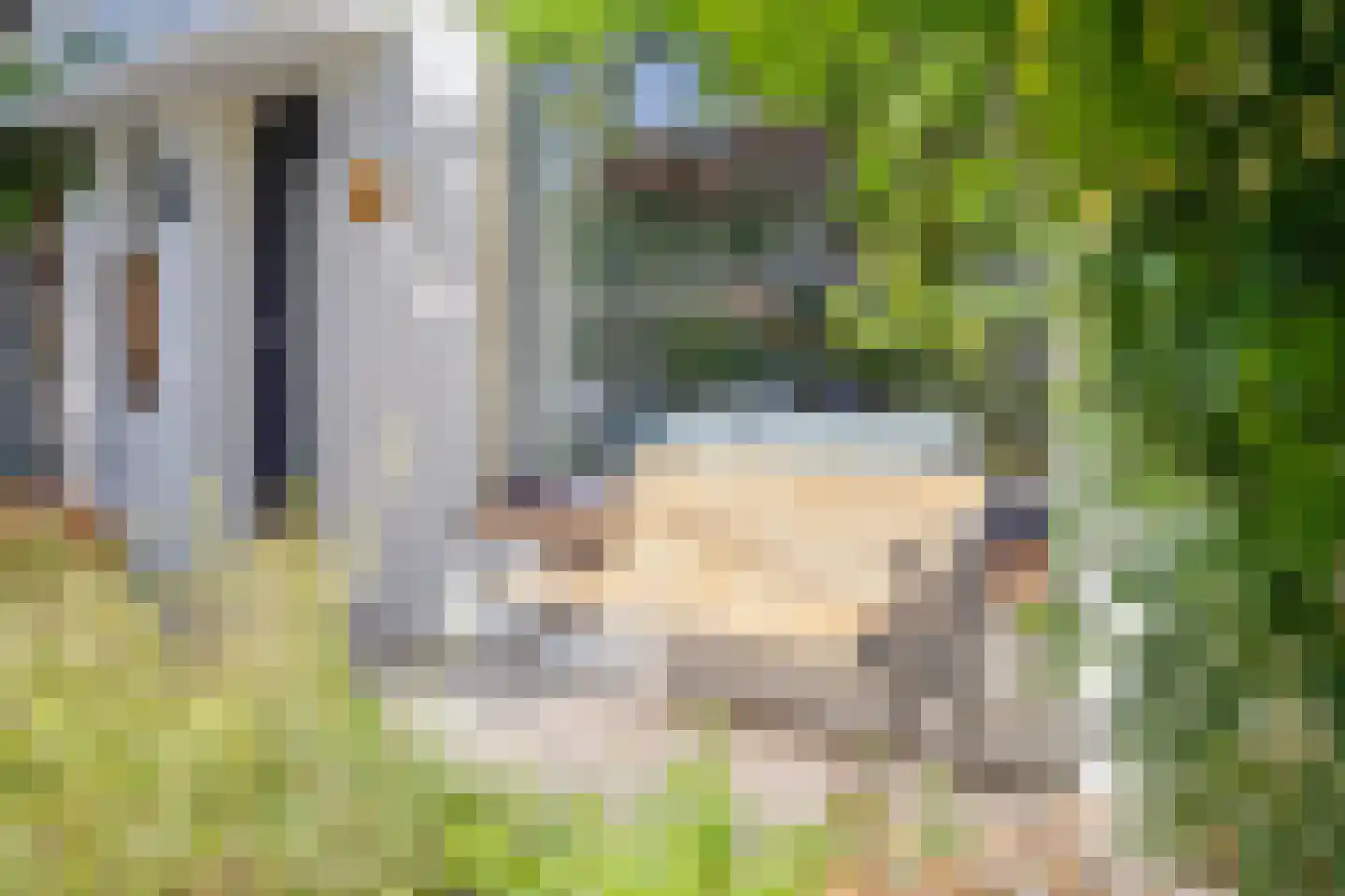 Floraliastraat 1 Oss thumbnail 7