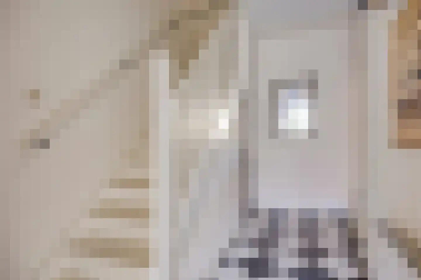 Floraliastraat 1 Oss thumbnail 9