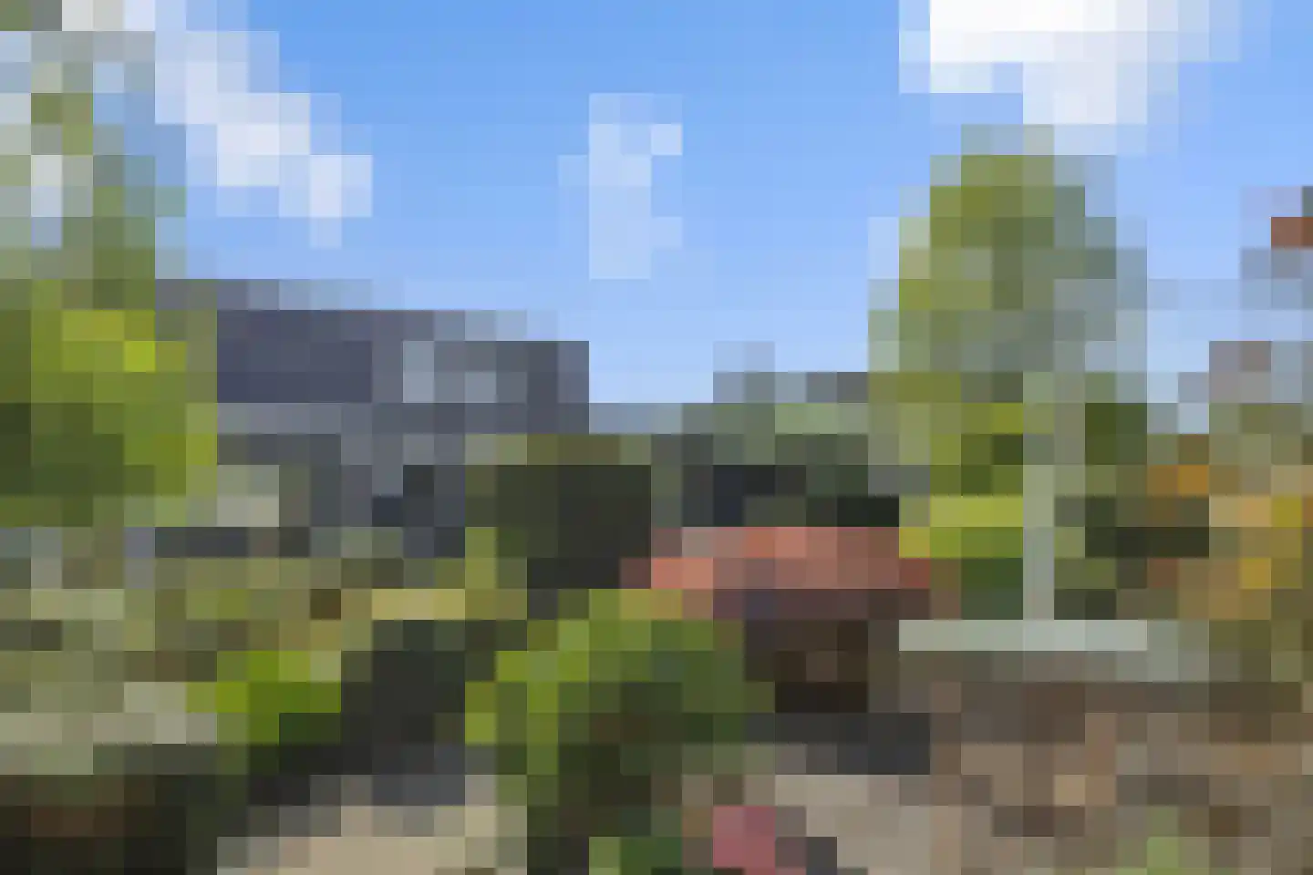 Floraliastraat 19 Heesch thumbnail 16