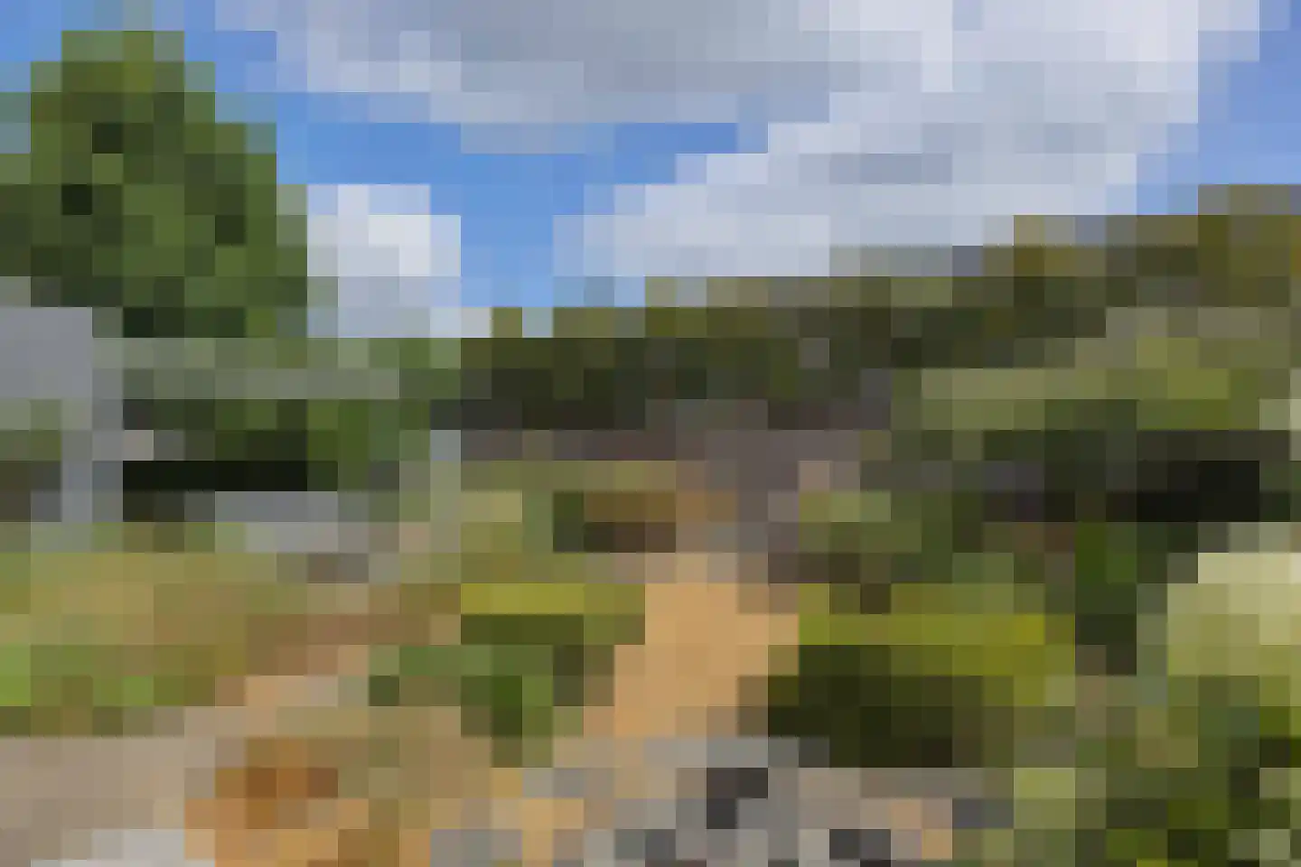 Floraliastraat 19 Heesch thumbnail 17