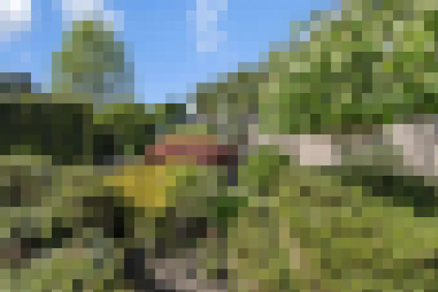 Floraliastraat 19 Heesch thumbnail 22