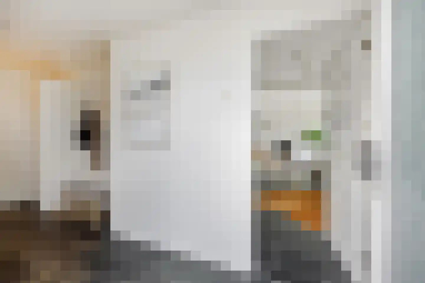 Floraliastraat 19 Heesch thumbnail 33