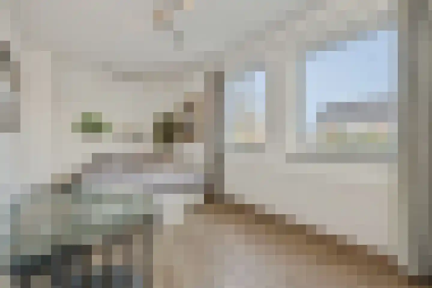 Floraliastraat 19 Heesch thumbnail 34