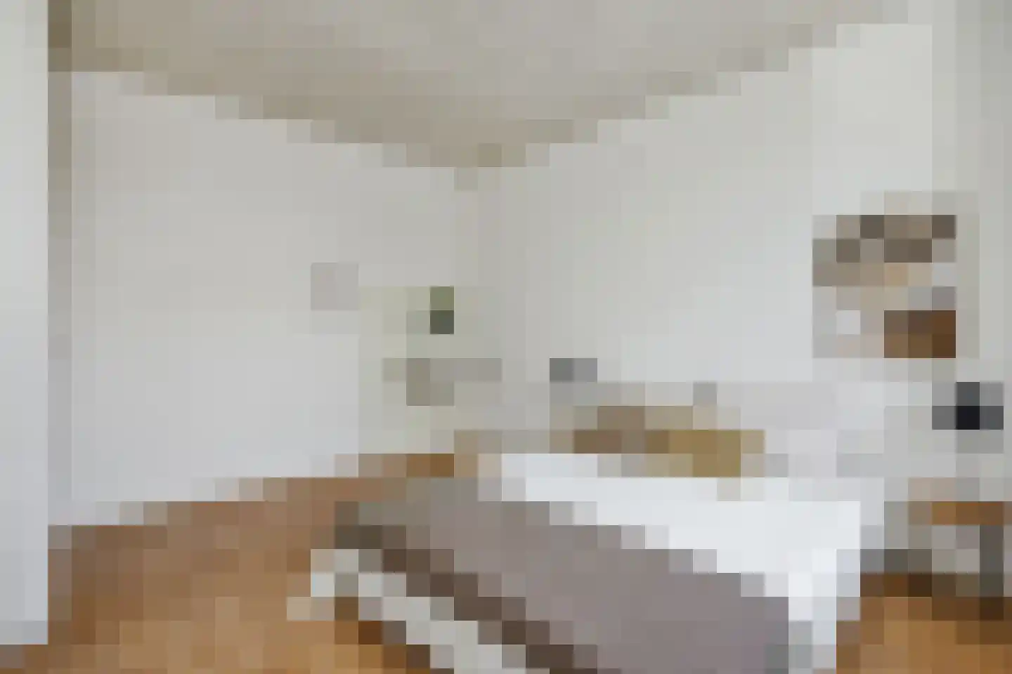 Floraliastraat 19 Heesch thumbnail 44