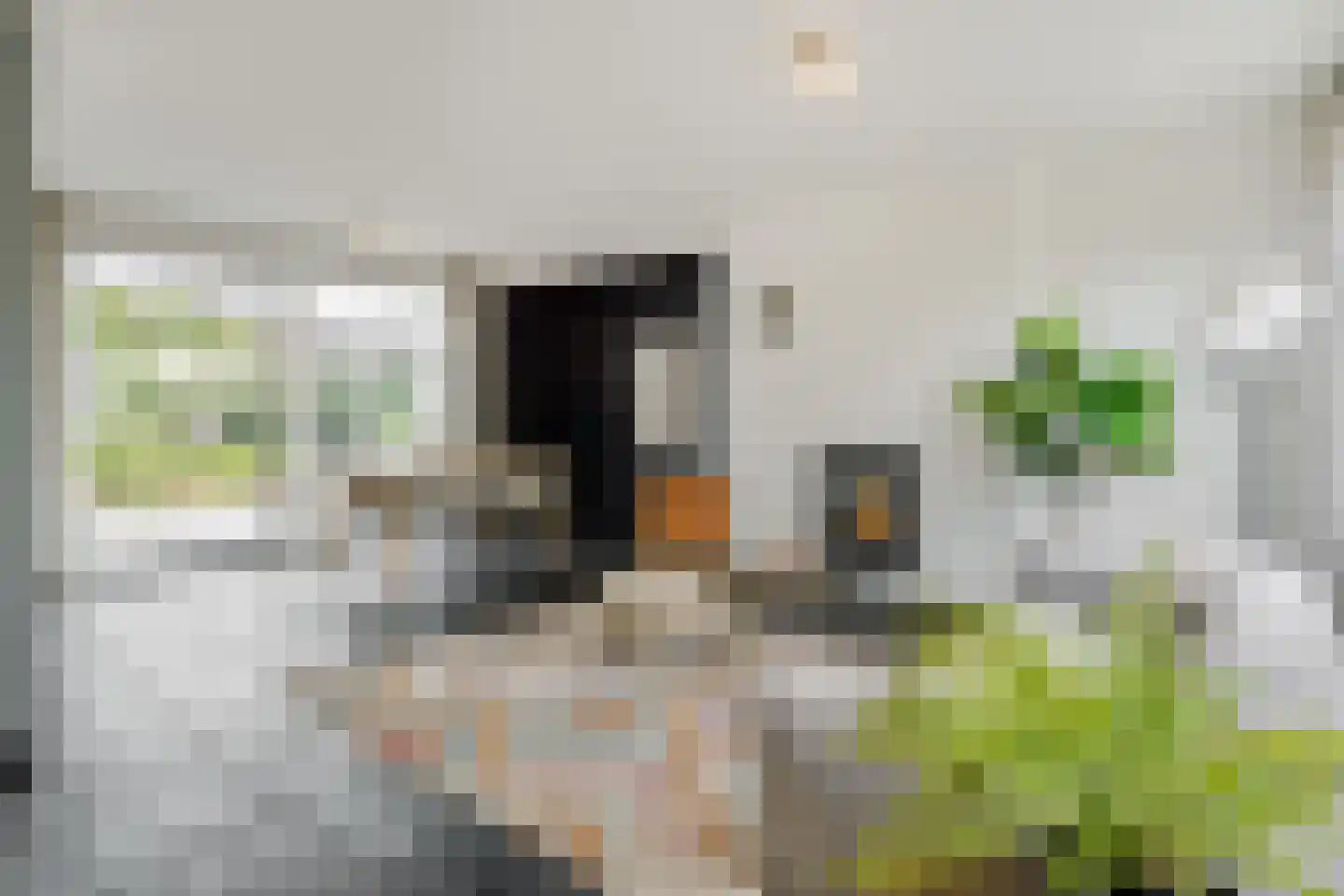 Floraliastraat 19 Heesch thumbnail 7