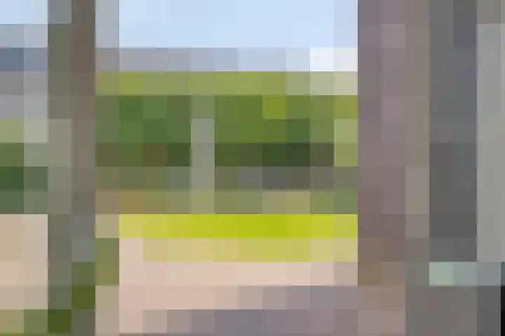 Floraliastraat 23 Heesch thumbnail 12