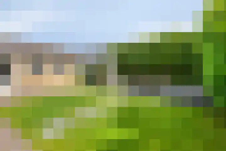 Floraliastraat 23 Heesch thumbnail 28