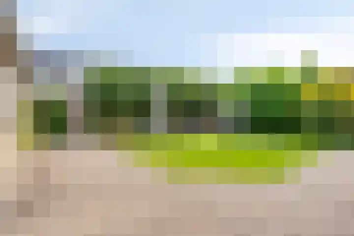 Floraliastraat 23 Heesch thumbnail 29