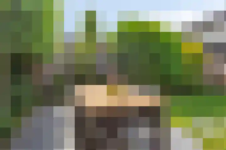 Floraliastraat 23 Heesch thumbnail 30