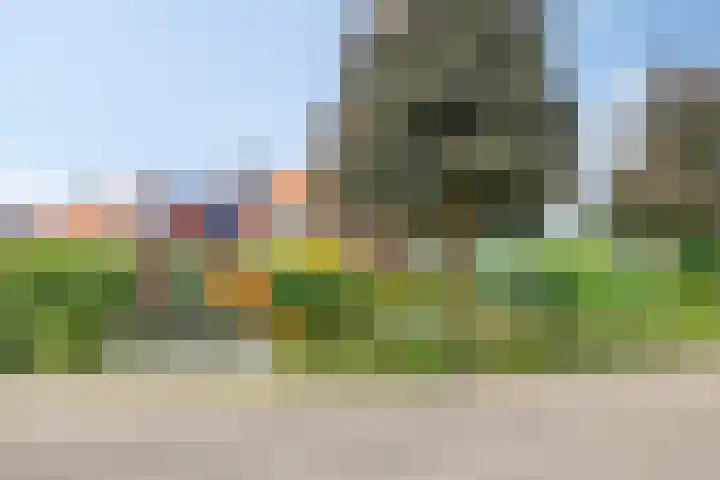 Floraliastraat 23 Heesch thumbnail 34