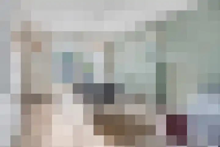Floraliastraat 24 Oss thumbnail 14