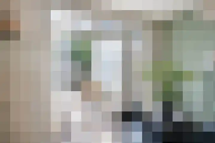 Floraliastraat 24 Oss thumbnail 15