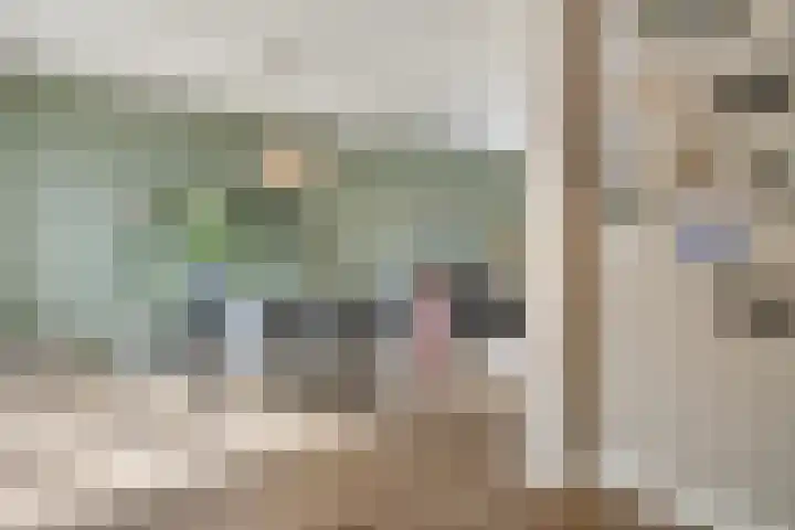 Floraliastraat 24 Oss thumbnail 16