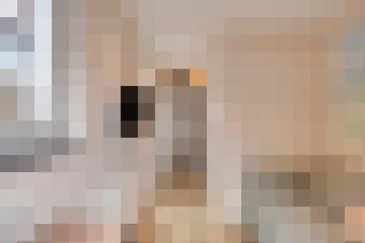 Floraliastraat 24 Oss thumbnail 22