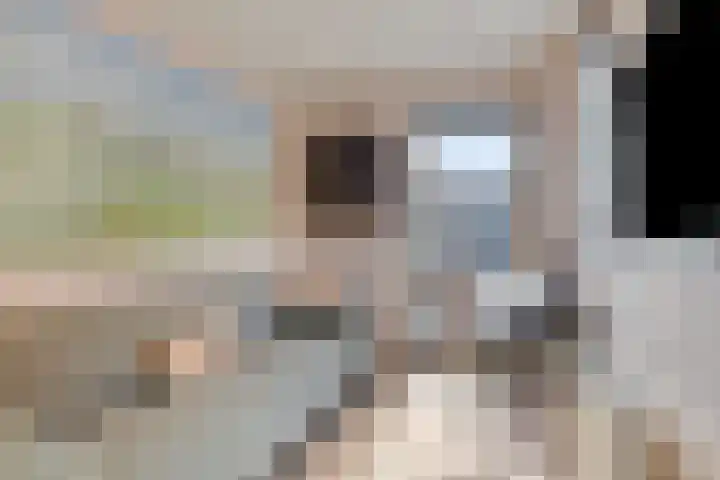 Floraliastraat 24 Oss thumbnail 24