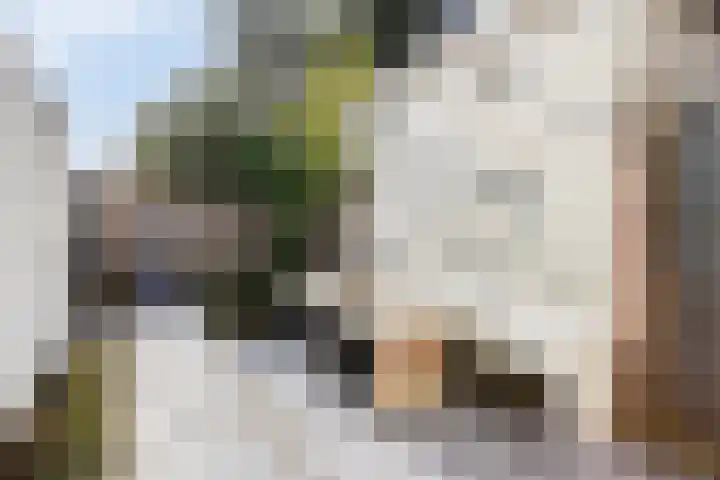 Floraliastraat 24 Oss thumbnail 25