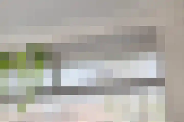 Floraliastraat 24 Oss thumbnail 37